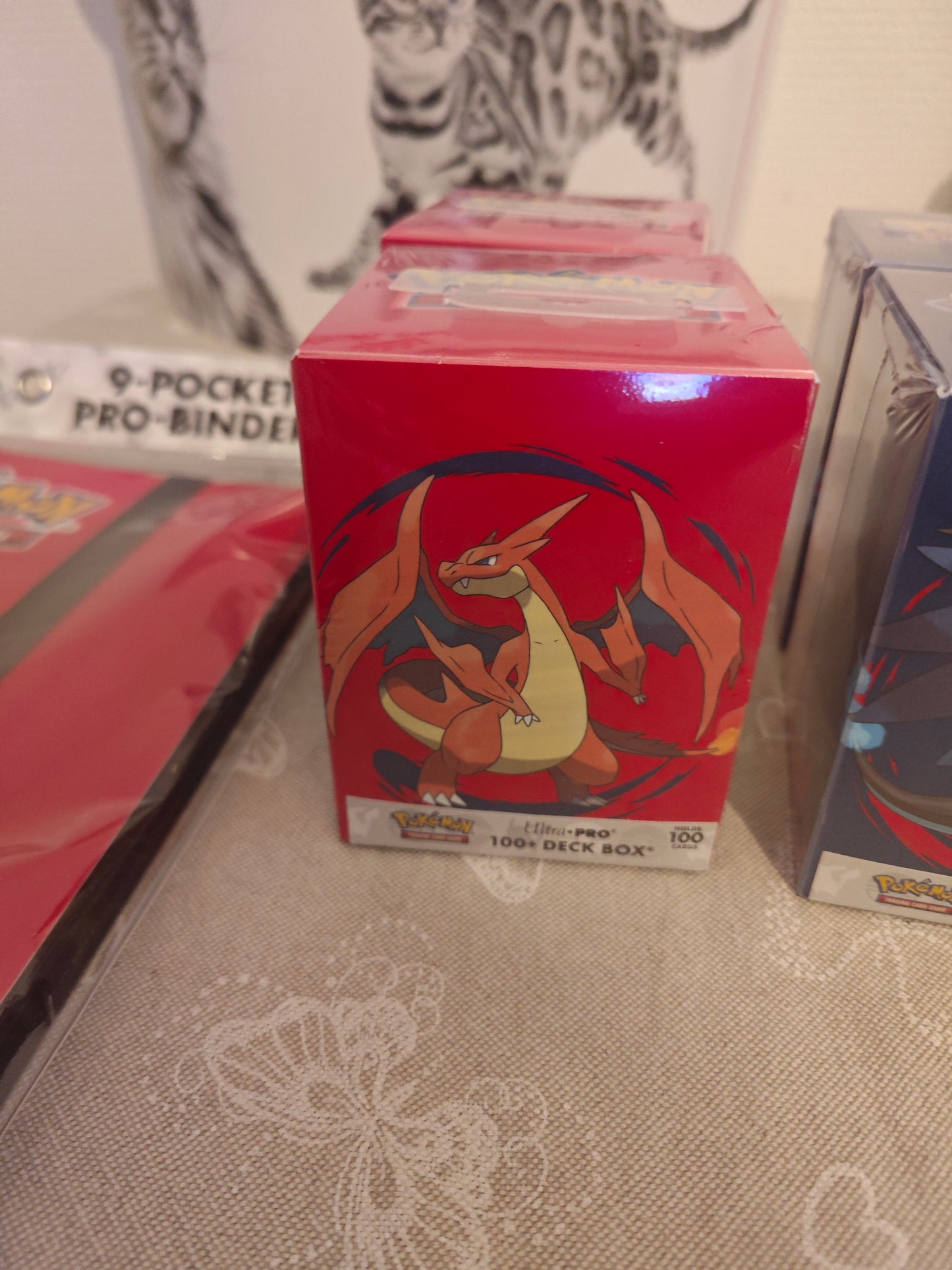 Deck Box 100+ Pokémon Méga-Dracaufeu Y - Ultra Pro